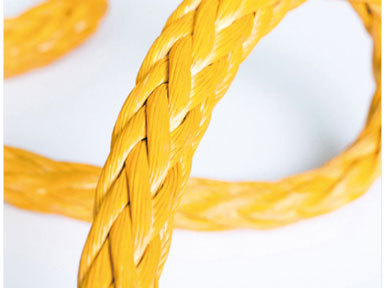Multifunctional polymer rope