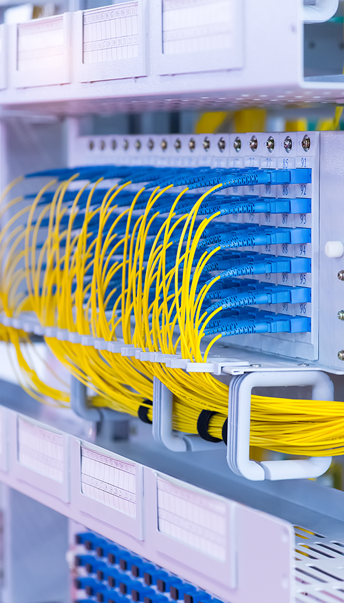 Optical fiber transmission access system