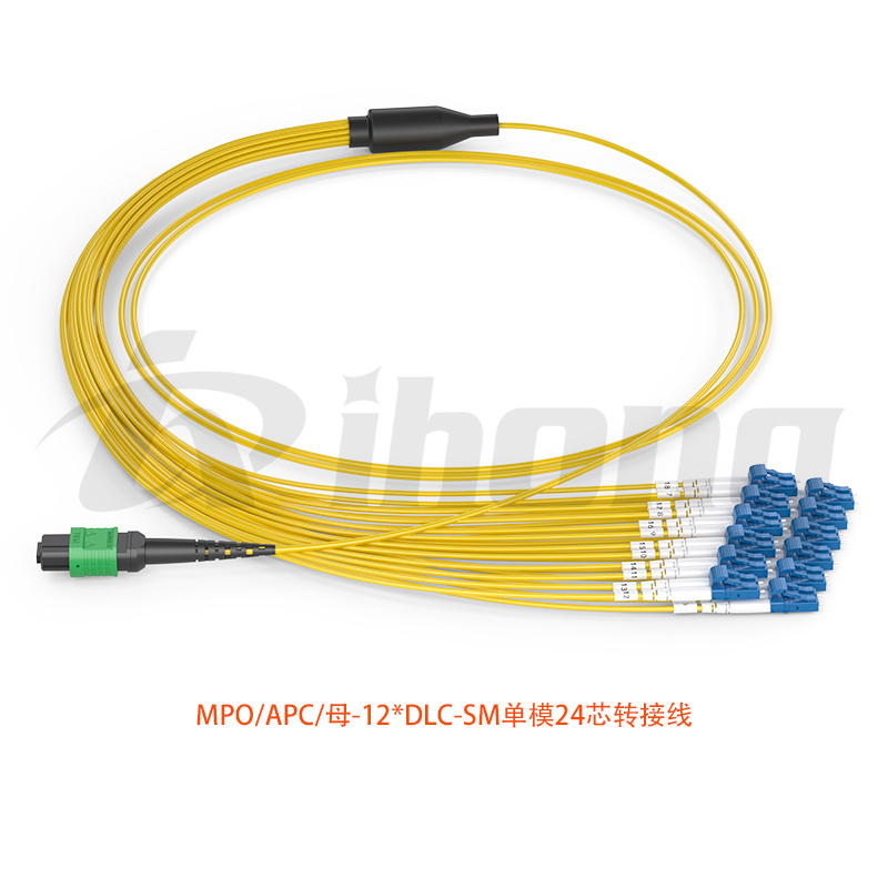 MPO/APC/母-12*DLC-SM单模24芯转接线