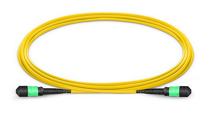 MPO main cable jumper