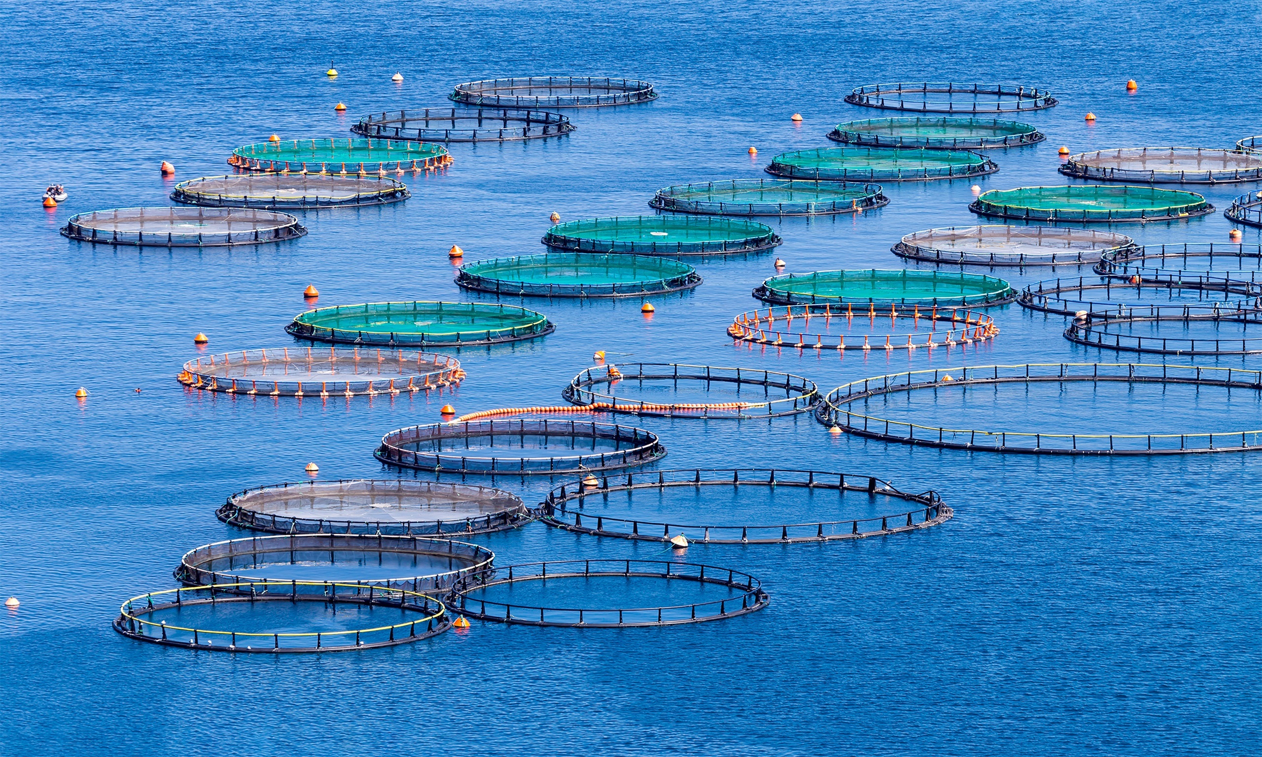 Aquaculture Applications