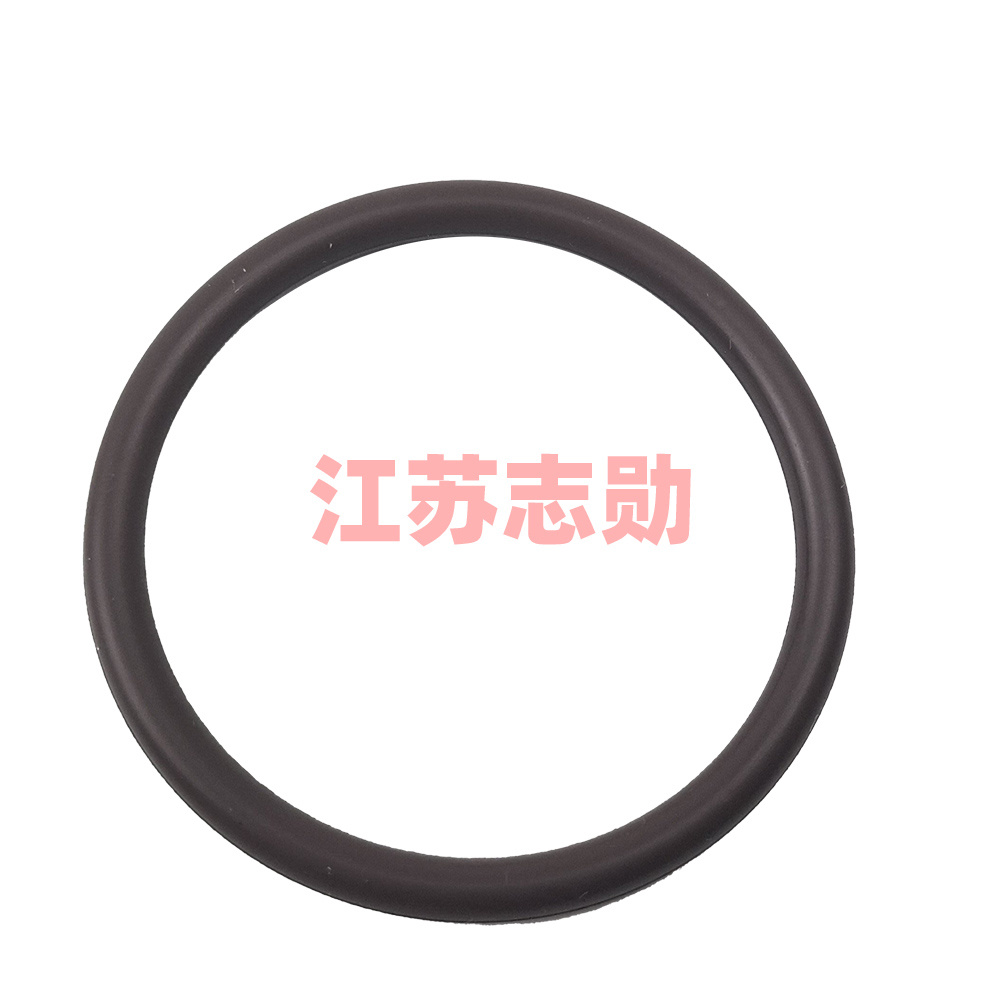 Fluororubber O-ring GB/T3452.1 F38.7*3.55