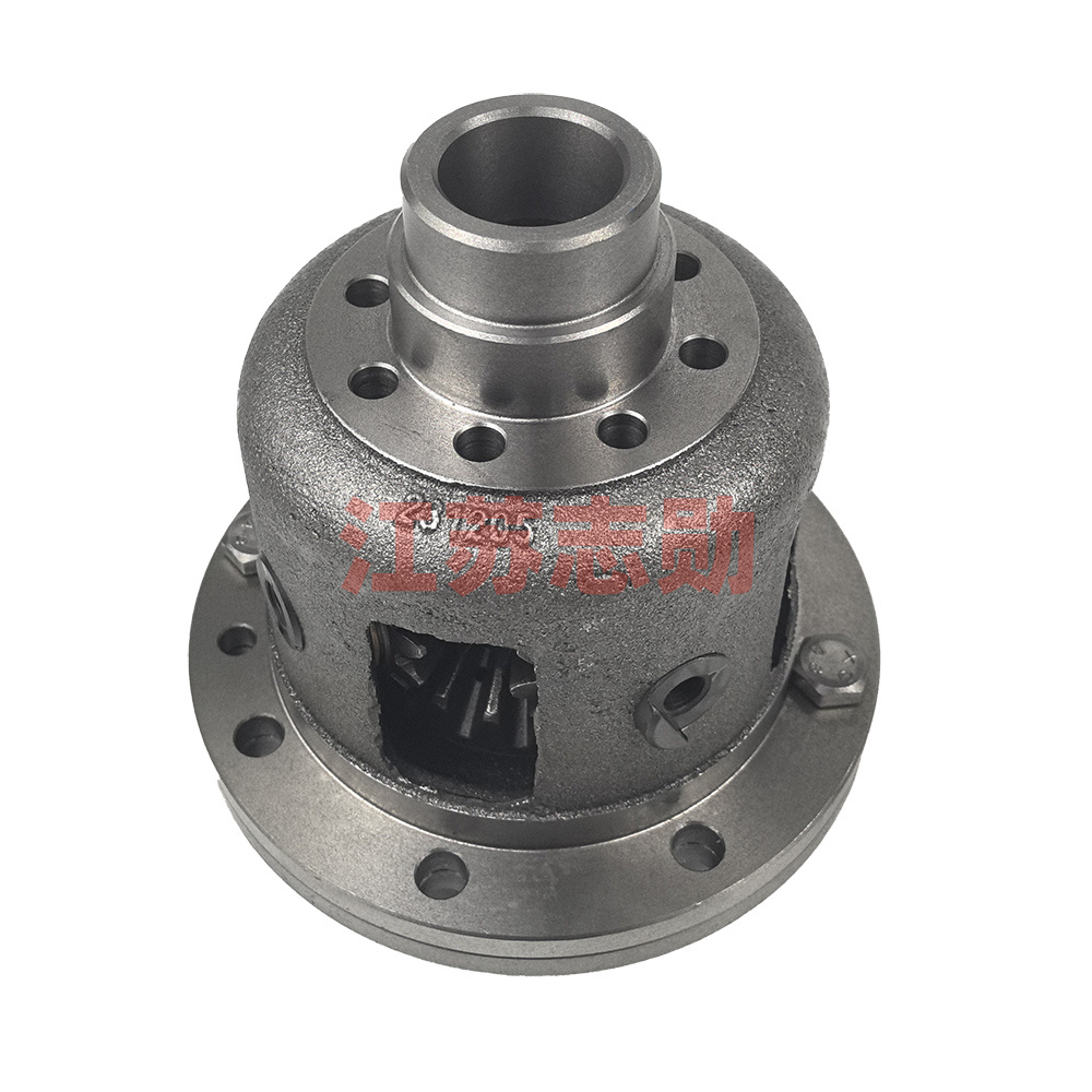 Differential gear assembly MK554.38.034-TY