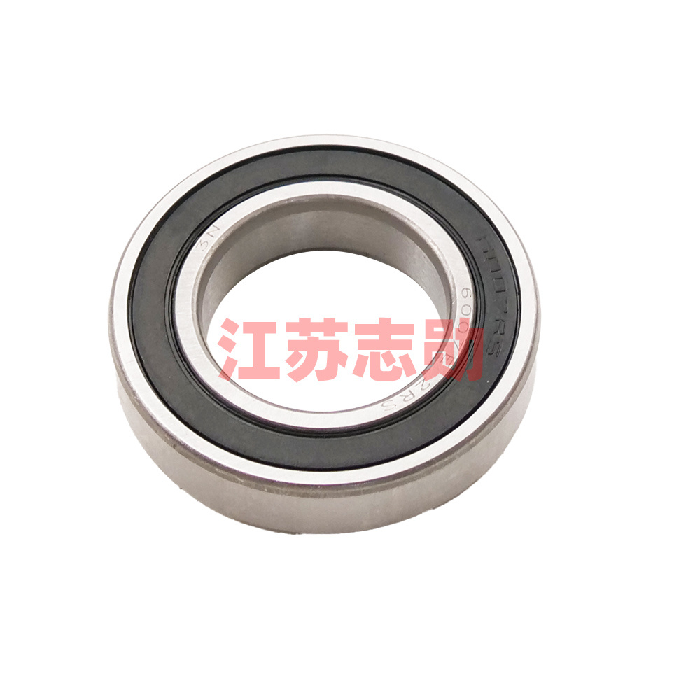 Bearing 6007E-2RS (180107)