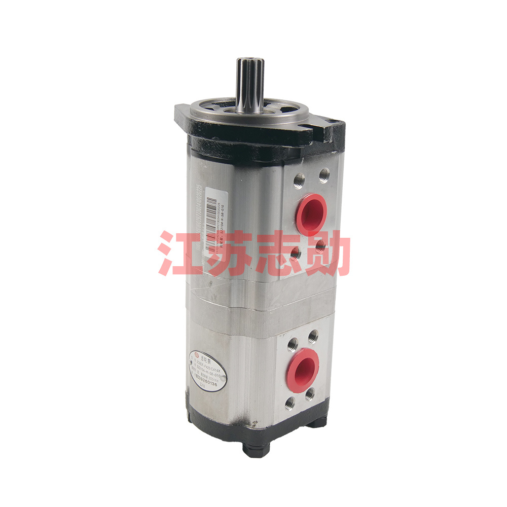 Double gear pump SZ2104-H-58-010