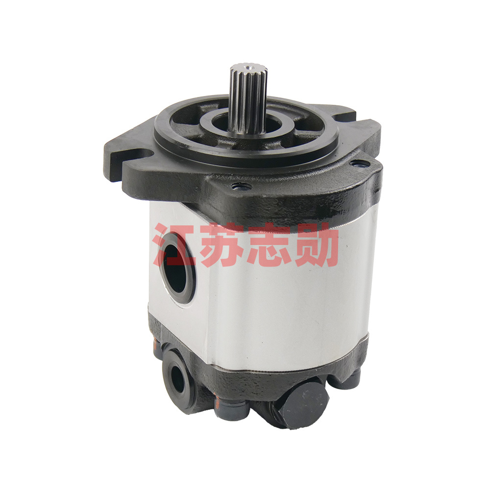 Gear pump assembly ZWCB-16×130