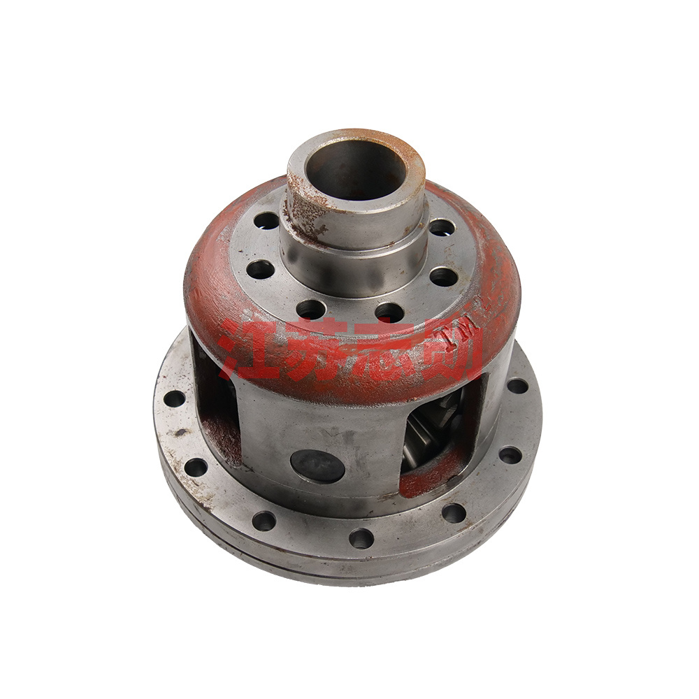 Differential assembly - SZ1304.38.010-TY