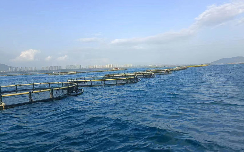 海南陵水网箱 海南陵水网箱