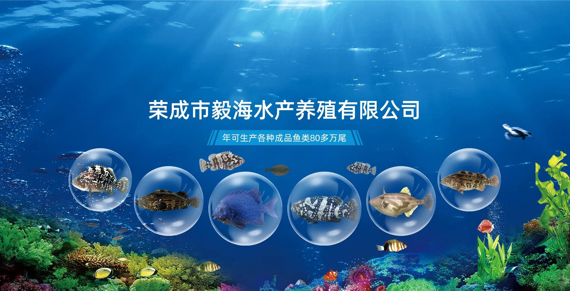荣成市毅海水产养殖有限公司