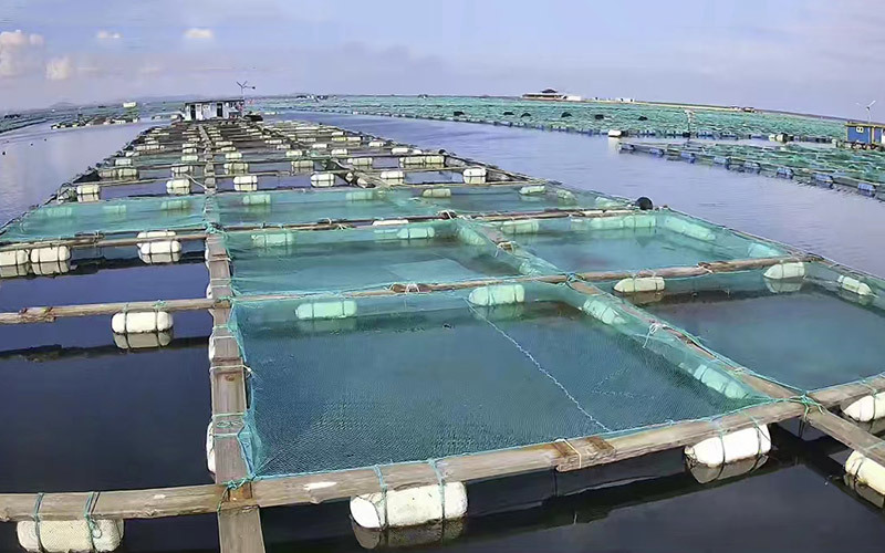 桑沟湾网箱 桑沟湾网箱