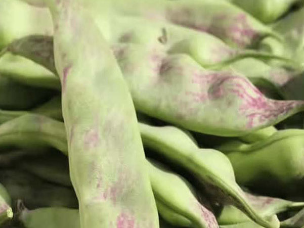 Temperature control for making frozen fruits and vegetables