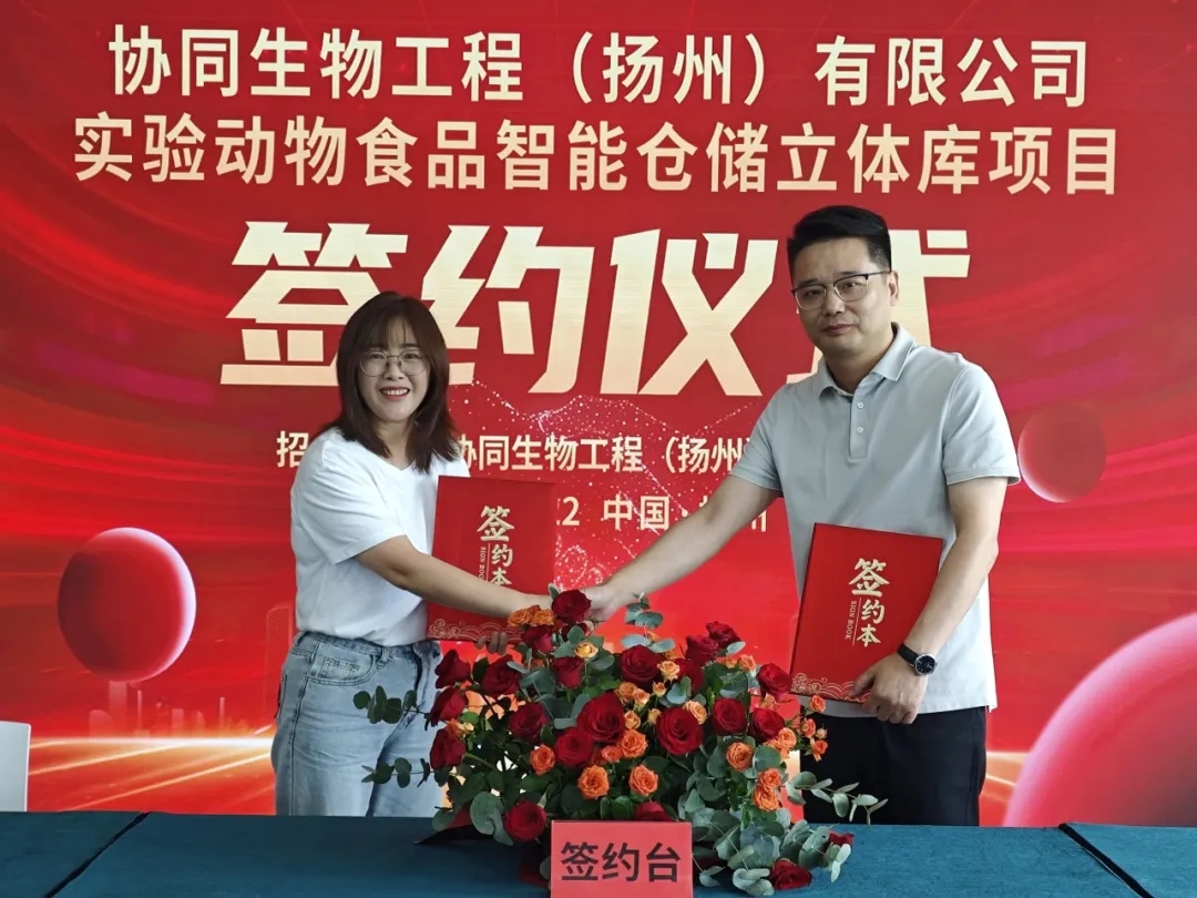 协同动态 | 聚力二期，智启新程！
