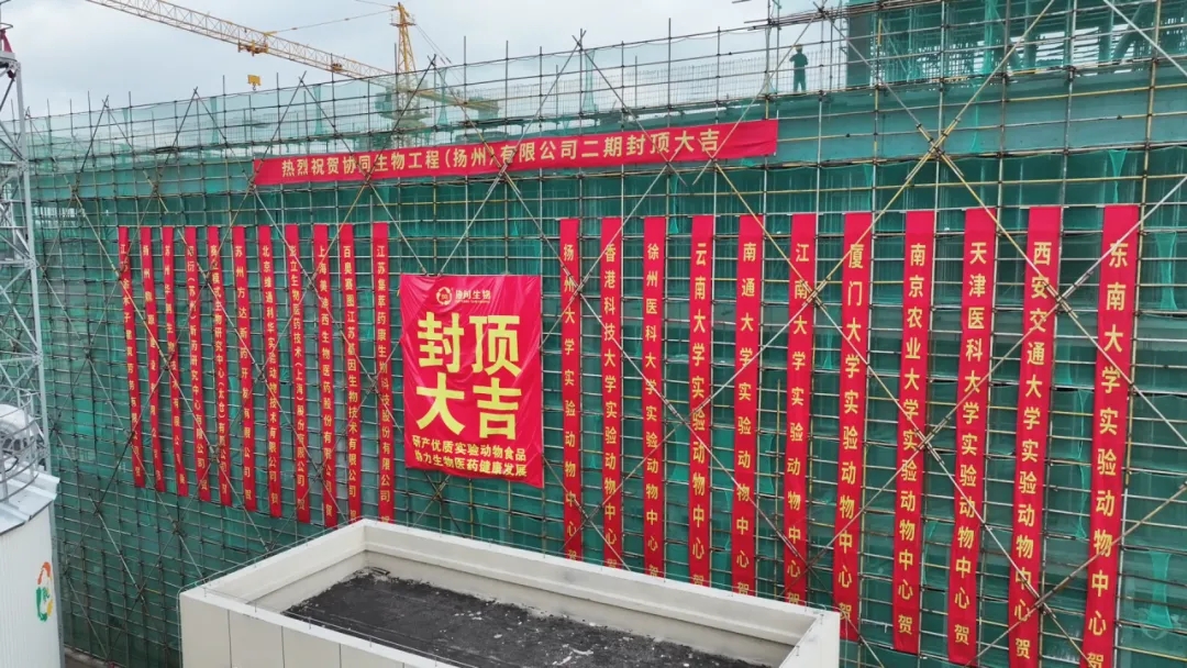 协同动态 | 金锹落定，礼花绽放！协同“智造”，封顶大吉！