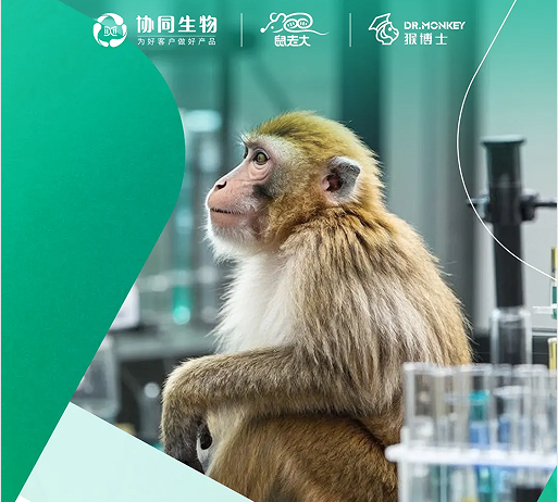 实验猴营养大揭秘2：微量元素全知晓