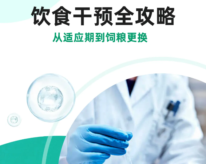 饮食干预全攻略