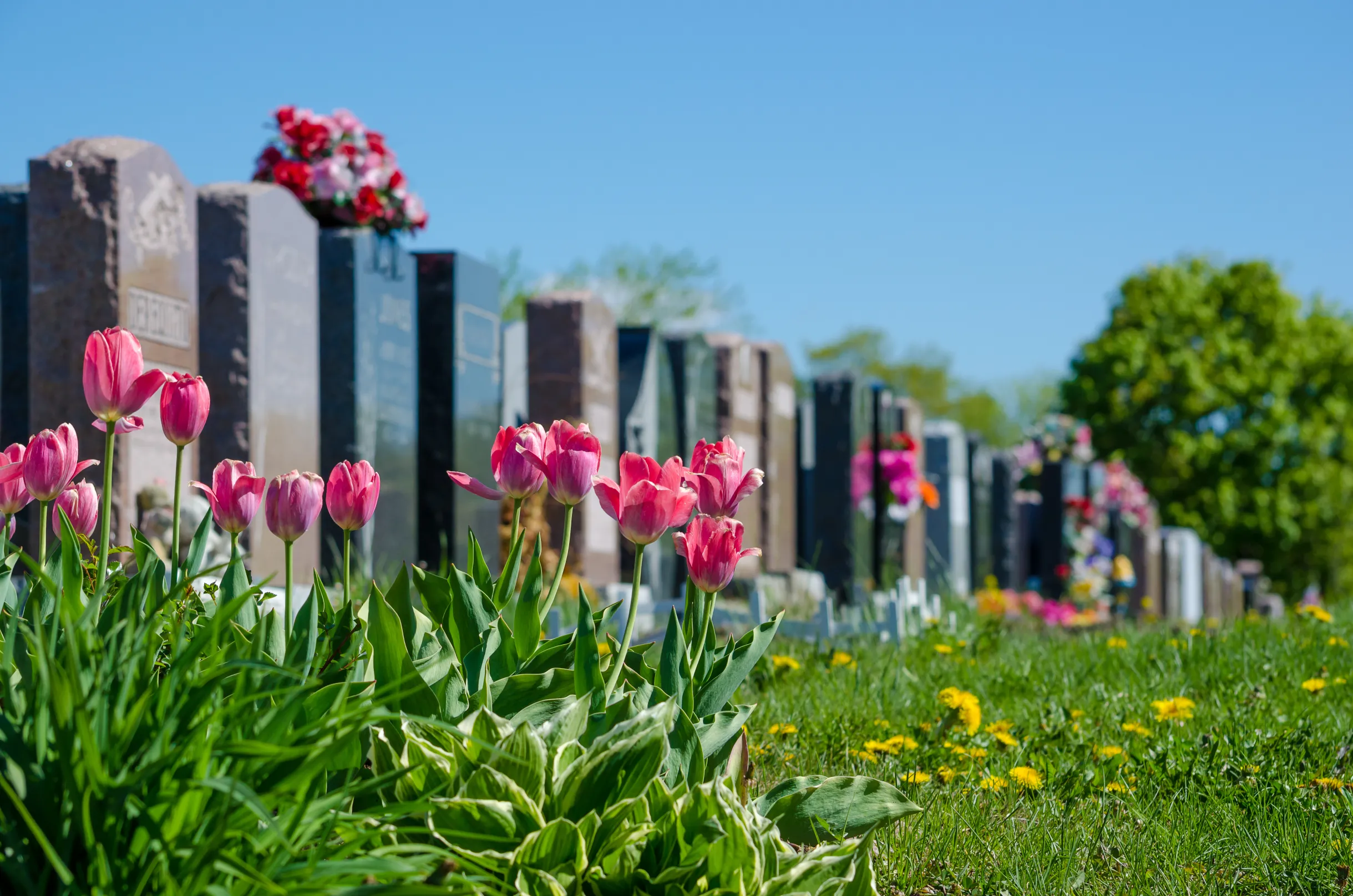 90% of Japan's tombstones come from China!