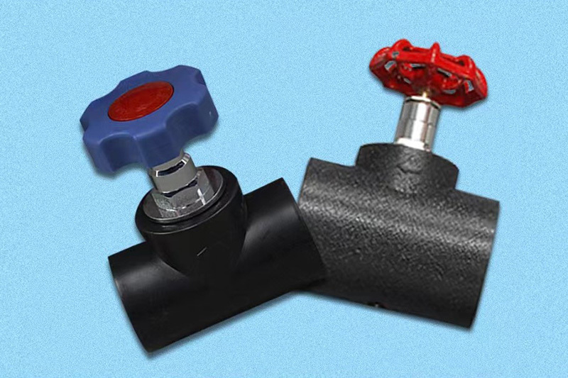 Globe Valve