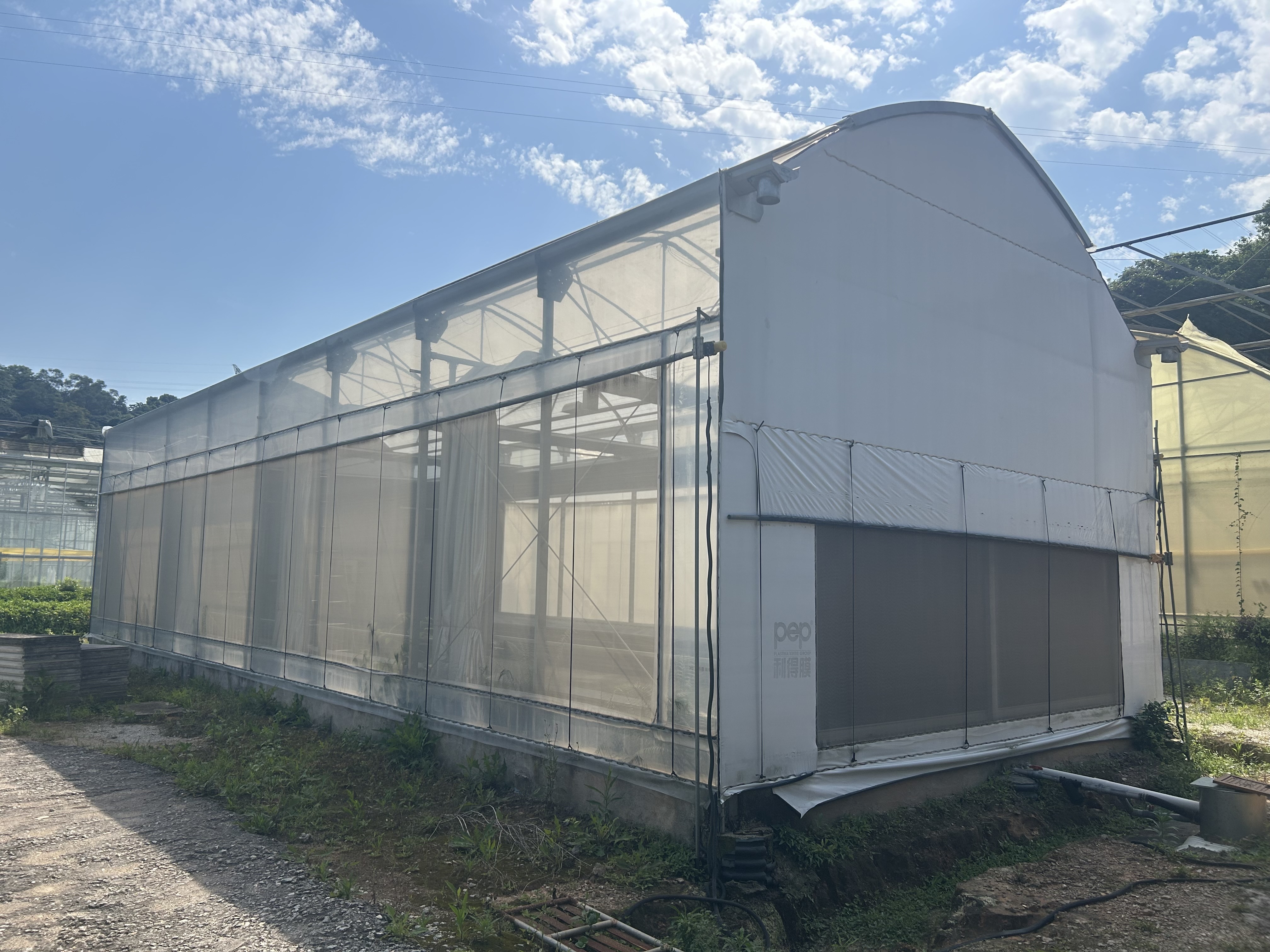 Gothic Type Light-Deprivation Greenhouse