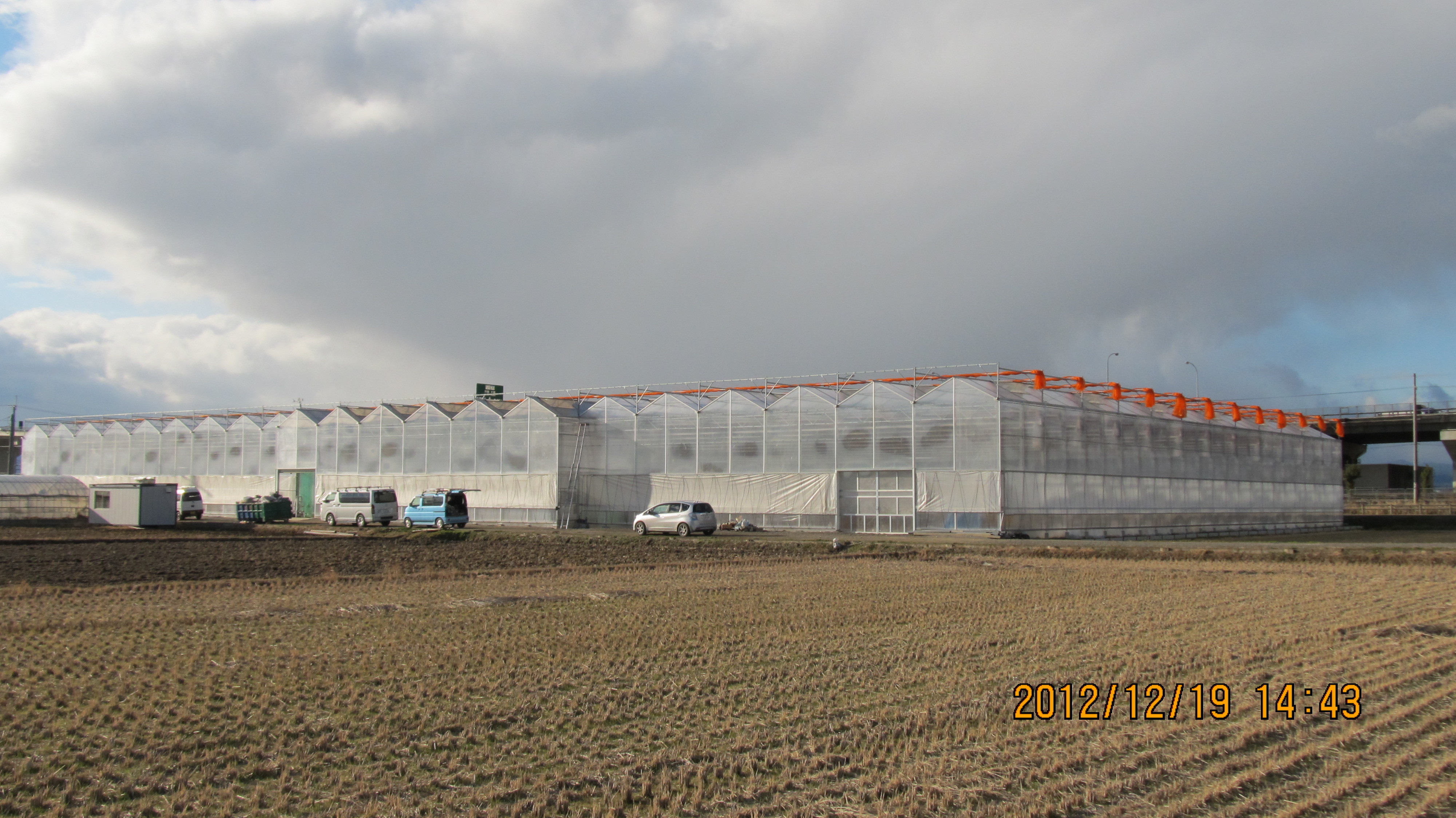 Venlo Polycarbonate Sheet Greenhouse For Japan Earthquake-prone Zone