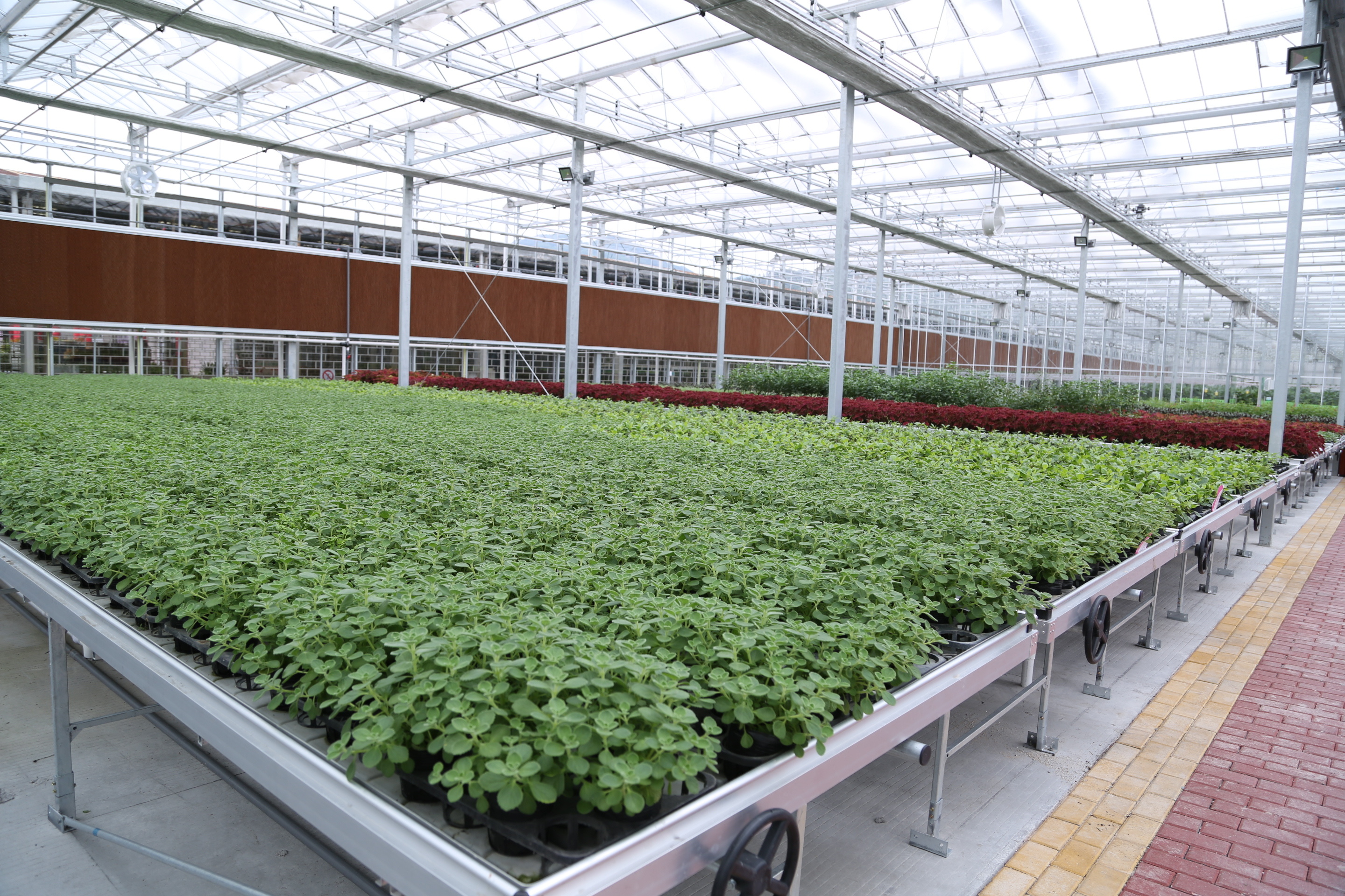 Newest Venlo greenhouse manufacturersChina