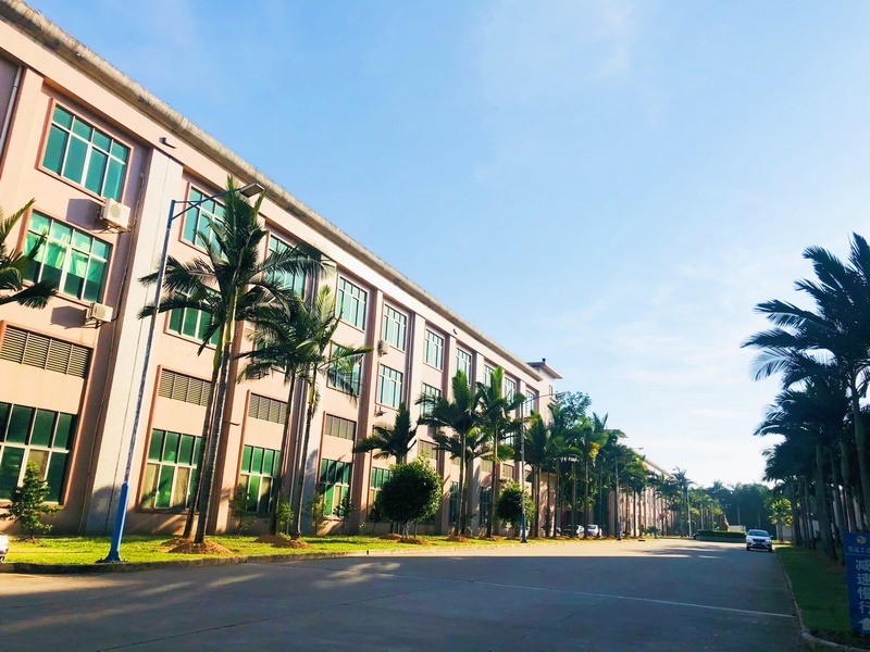 Company Profile