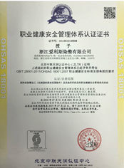 Occupational Health Management System Certificate