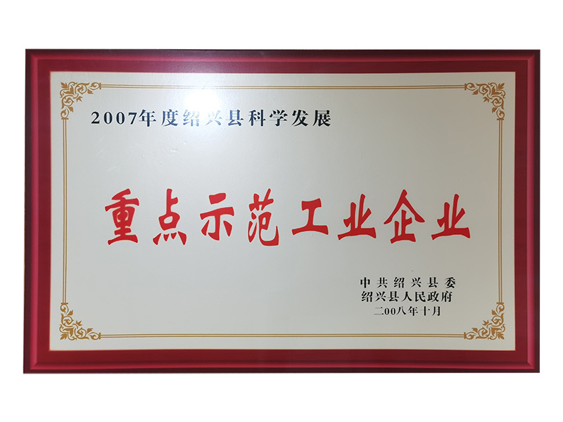 In 2007, Shaoxing County Key Demonstration Industrial Enterprise for Scientific Development