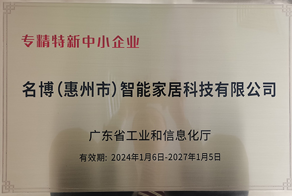 2024年专精特新中小企业 2024年专精特新中小企业