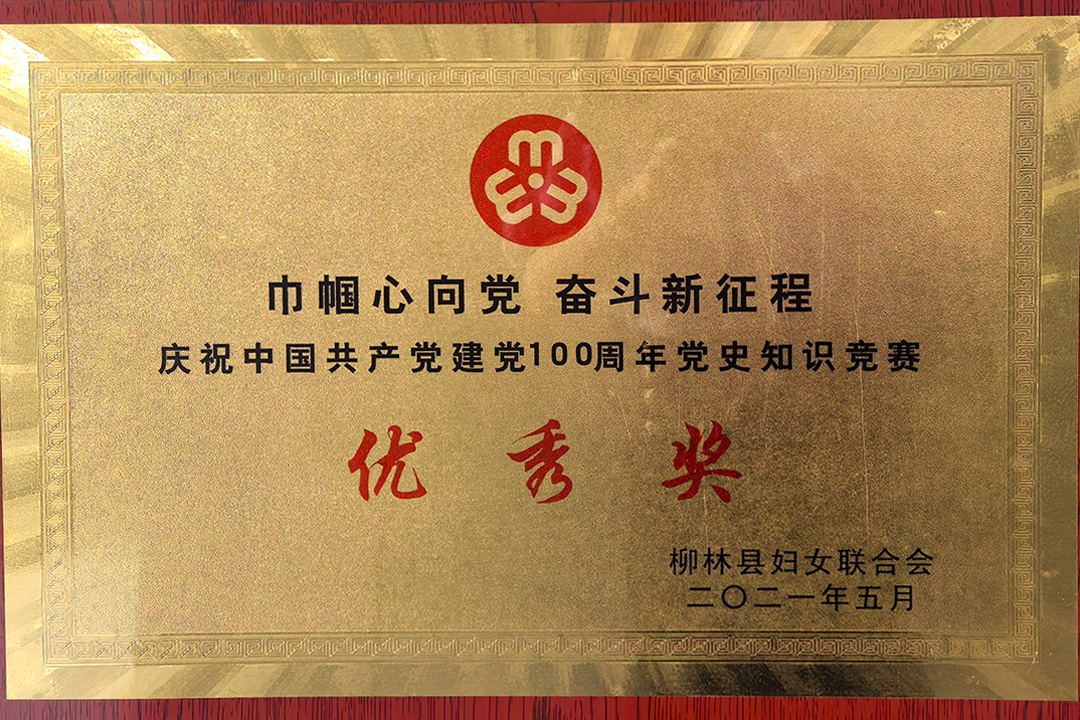 优秀奖