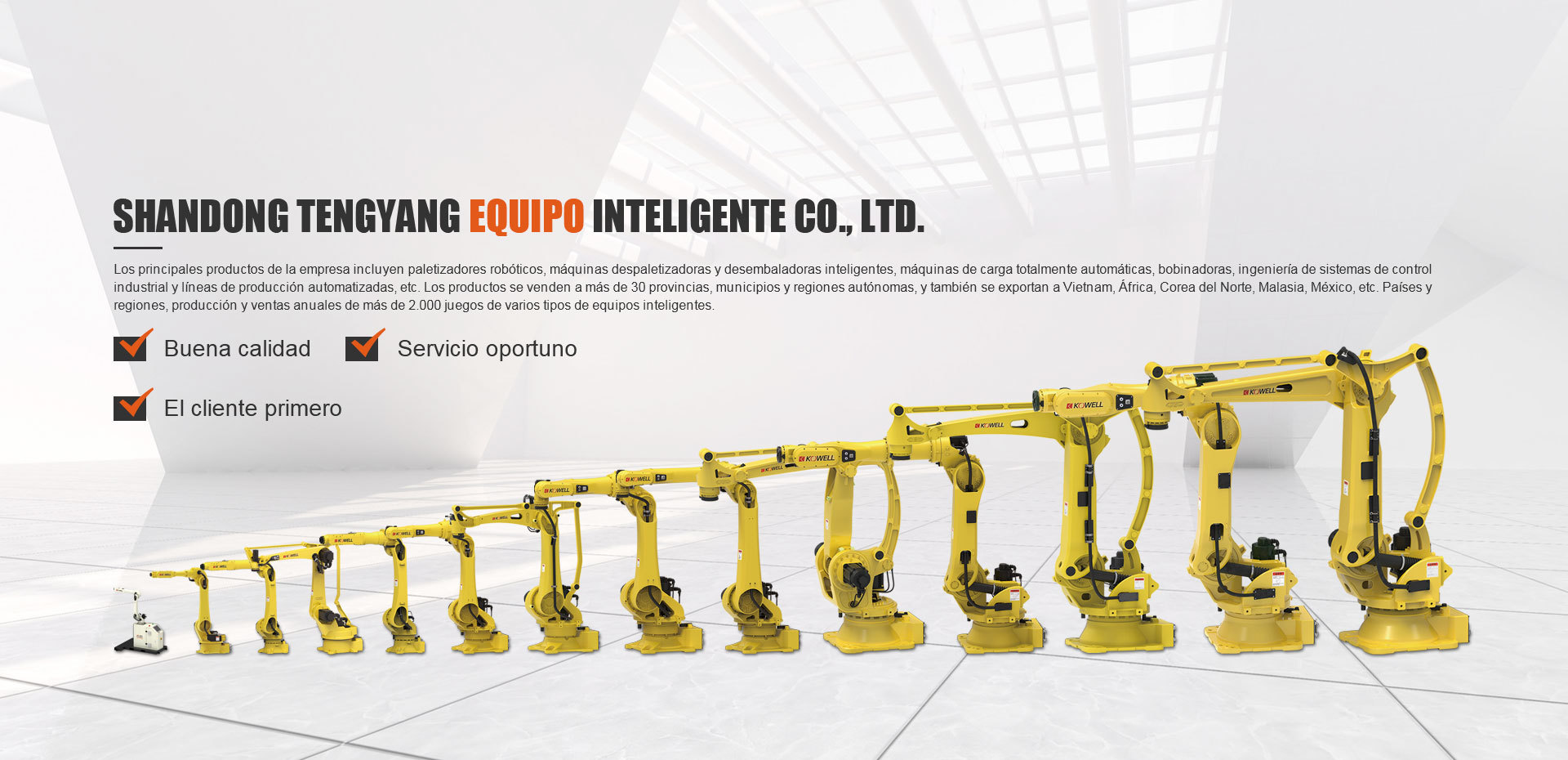 EQUIPO INTELIGENTE CO. DE SHANDONG TENGYANG, LTD.