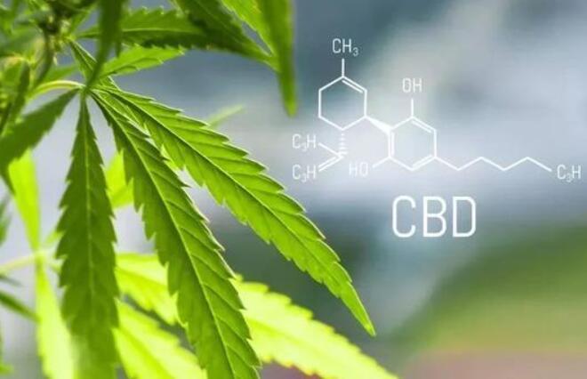 What is CBD in industrial hemp?