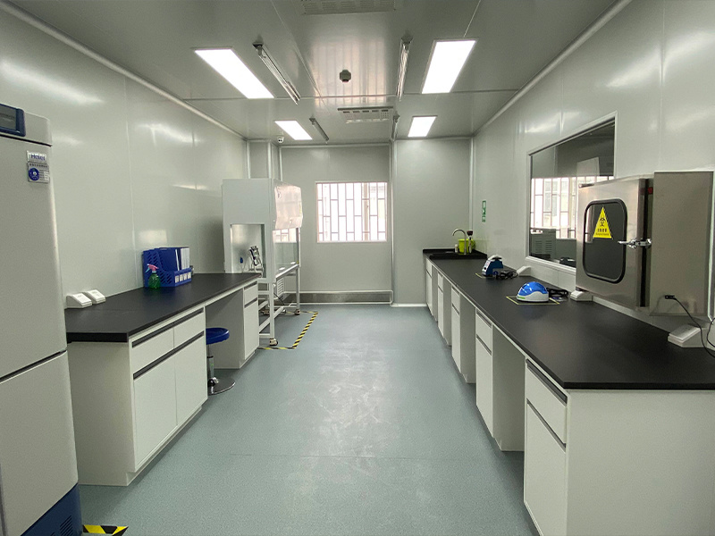 Understanding Honeycomb Cleanroom Doors: Essential Insights for Construction Professionals in China
