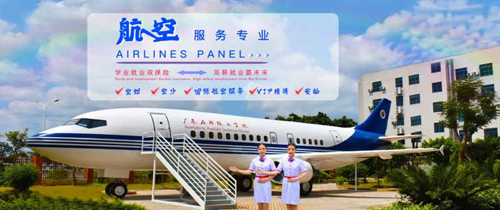 航空服务