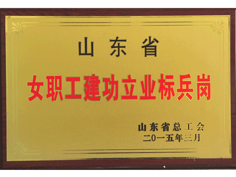 2014年度山東省女職工建功立業(yè)標兵崗