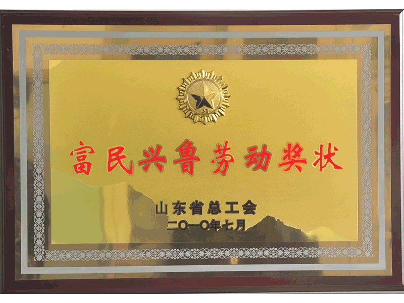 2010年山東省富民興魯勞動(dòng)獎(jiǎng)狀