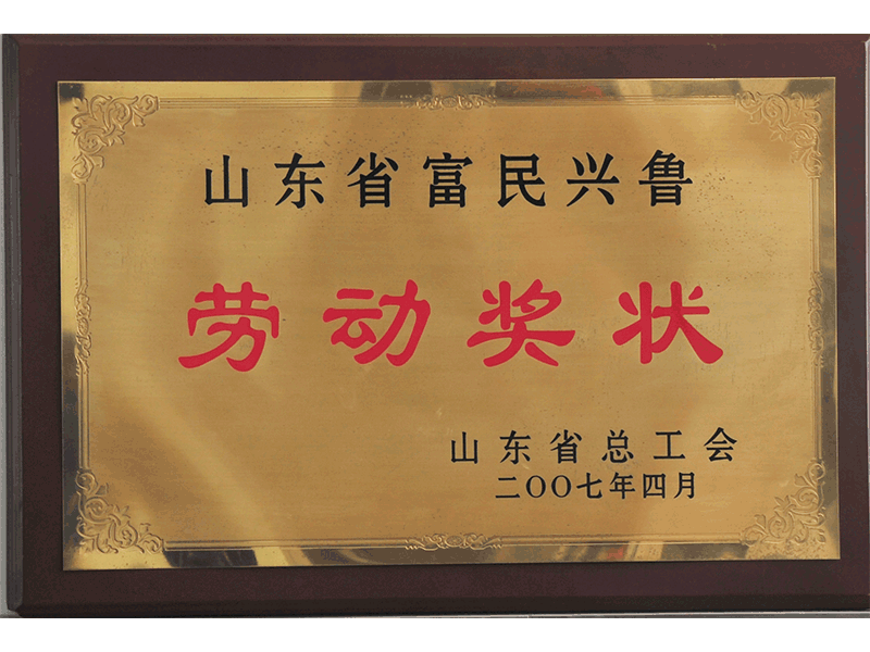 2007年山東省富民興魯勞動獎狀