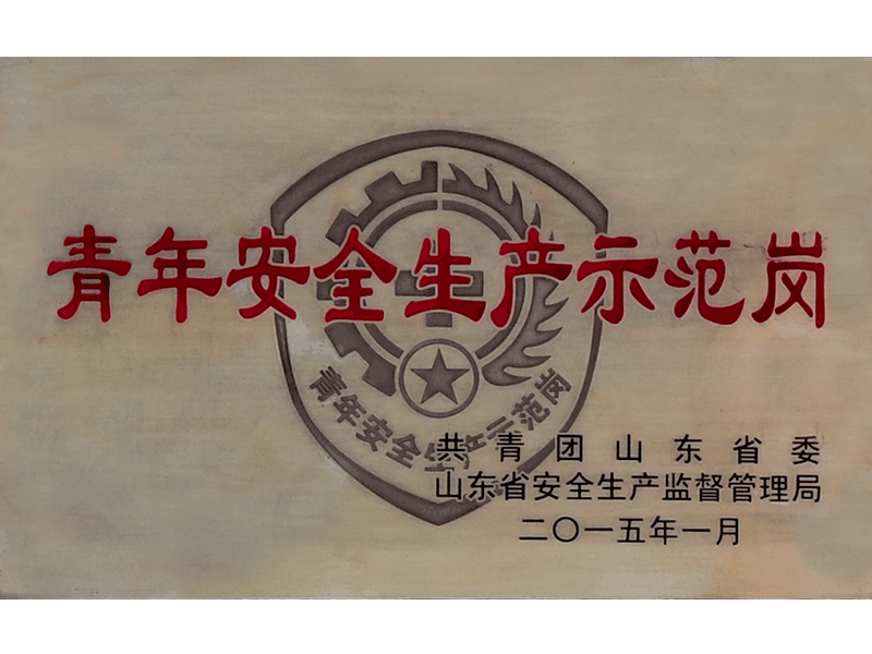 2014年度運行車間獲山東省青年安全生產(chǎn)示范崗