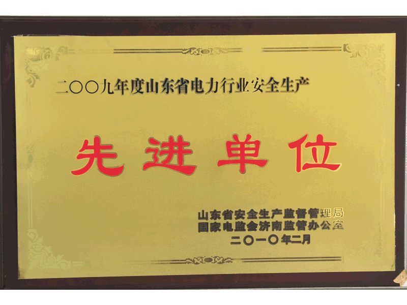 2009年度山東省電力行業(yè)安全生產(chǎn)先進(jìn)單位