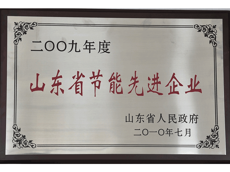 2009年度山東省節(jié)能先進(jìn)企業(yè)