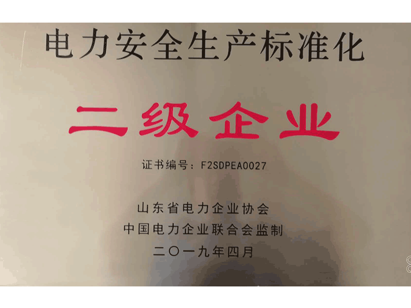 2019年山東省電力安全生產(chǎn)標(biāo)準(zhǔn)化二級企業(yè)