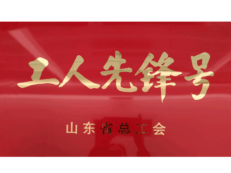 2008年獲山東省工人先鋒號