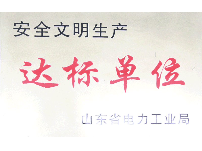 山東省安全文明生產(chǎn)達(dá)標(biāo)單位