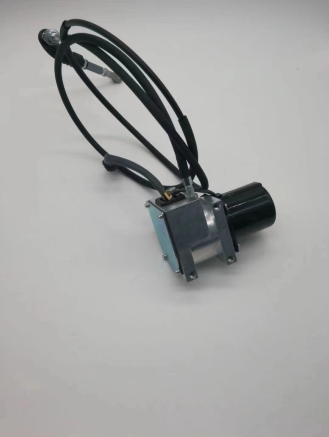 Throttle motor