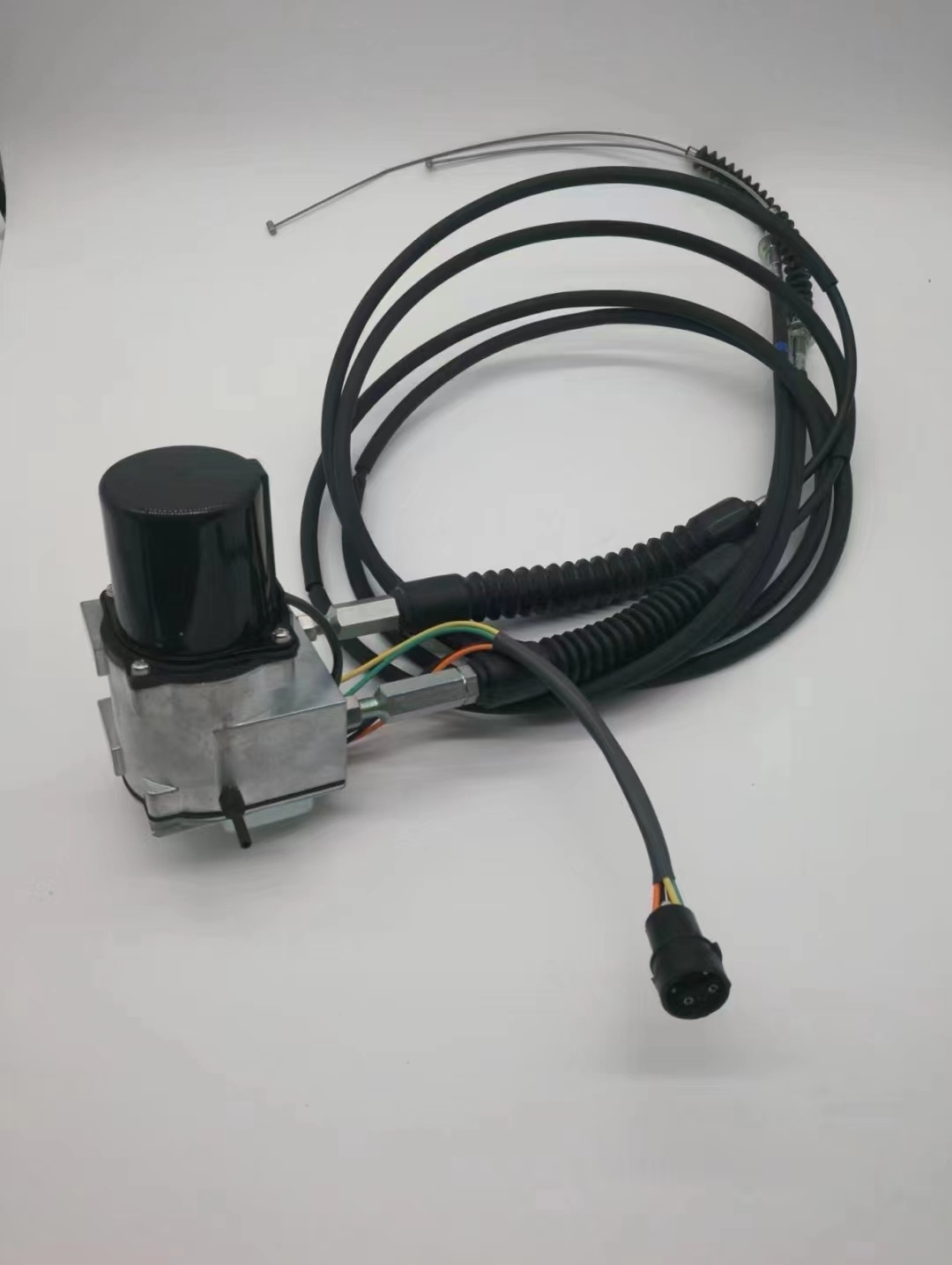 Throttle motor