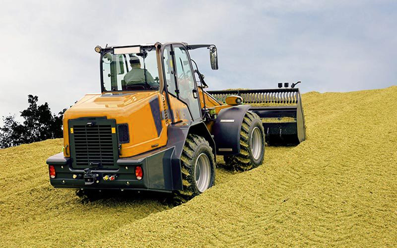 Small Wheel Loader