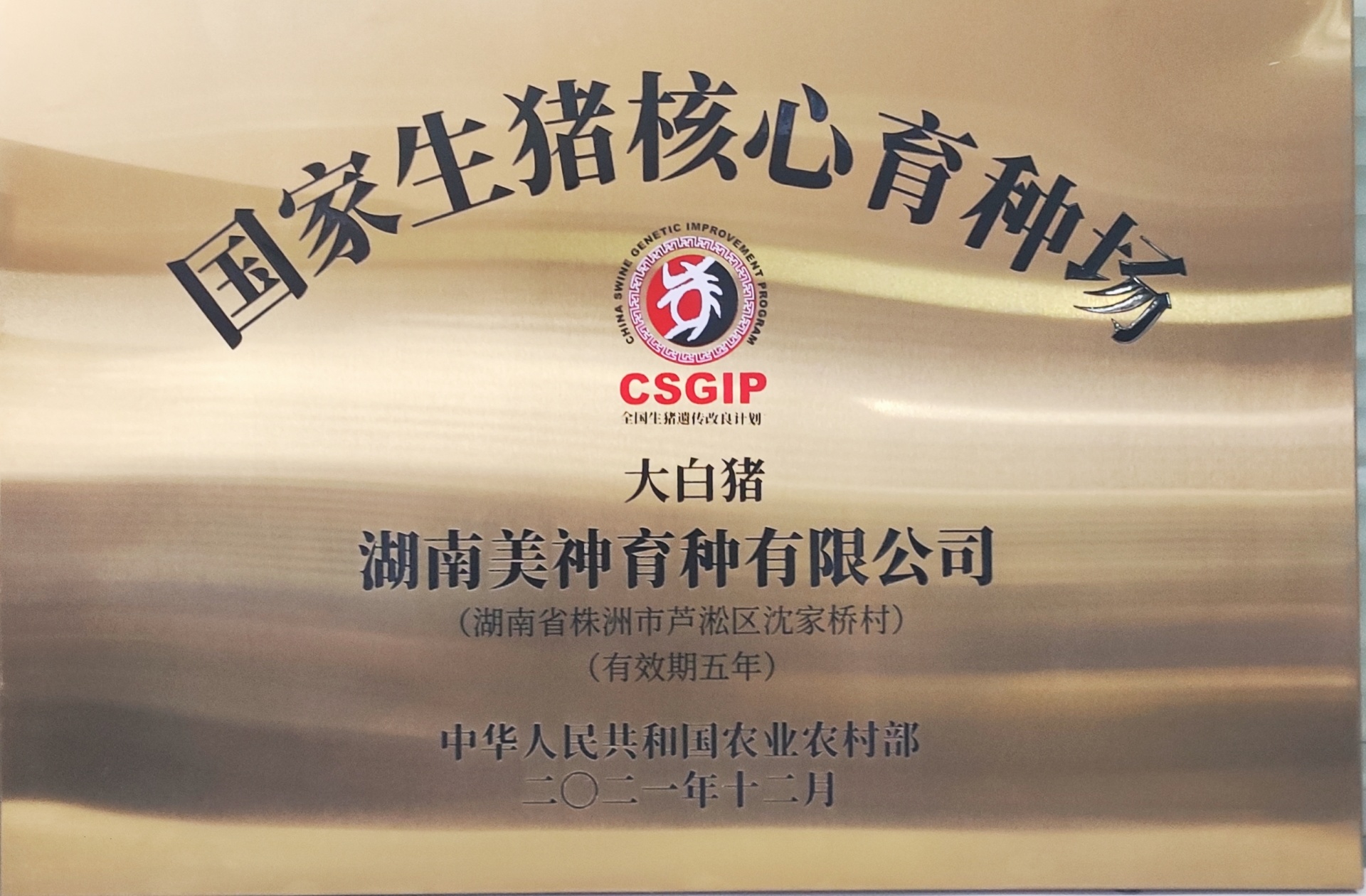 國家生豬核心育種場 國家生豬核心育種場