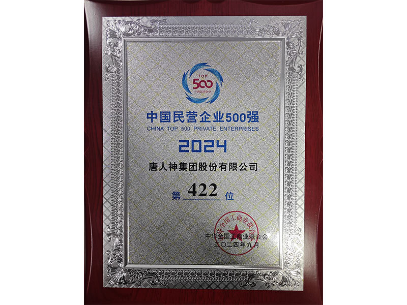 中國民營企業500強
