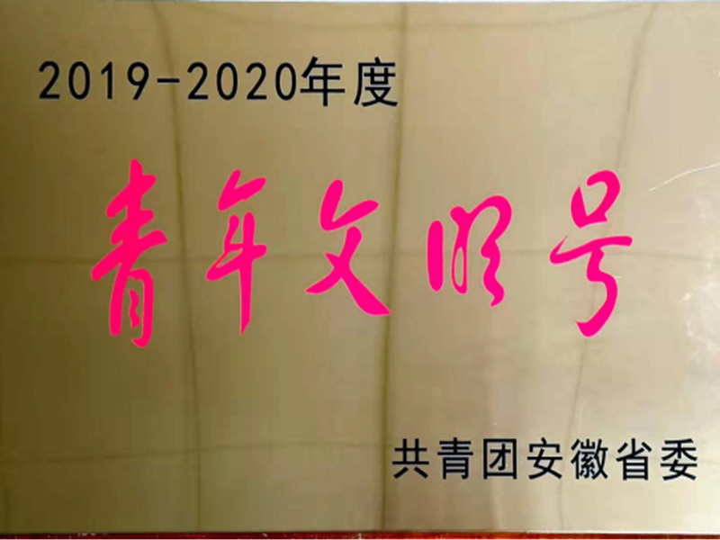 “安徽省青年文明號”