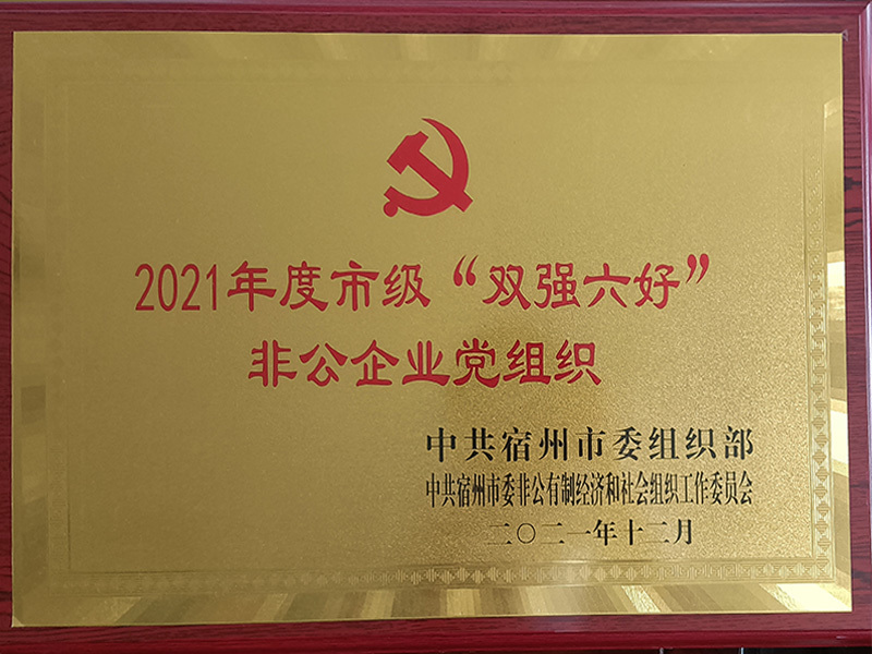 市級雙強六好黨支部