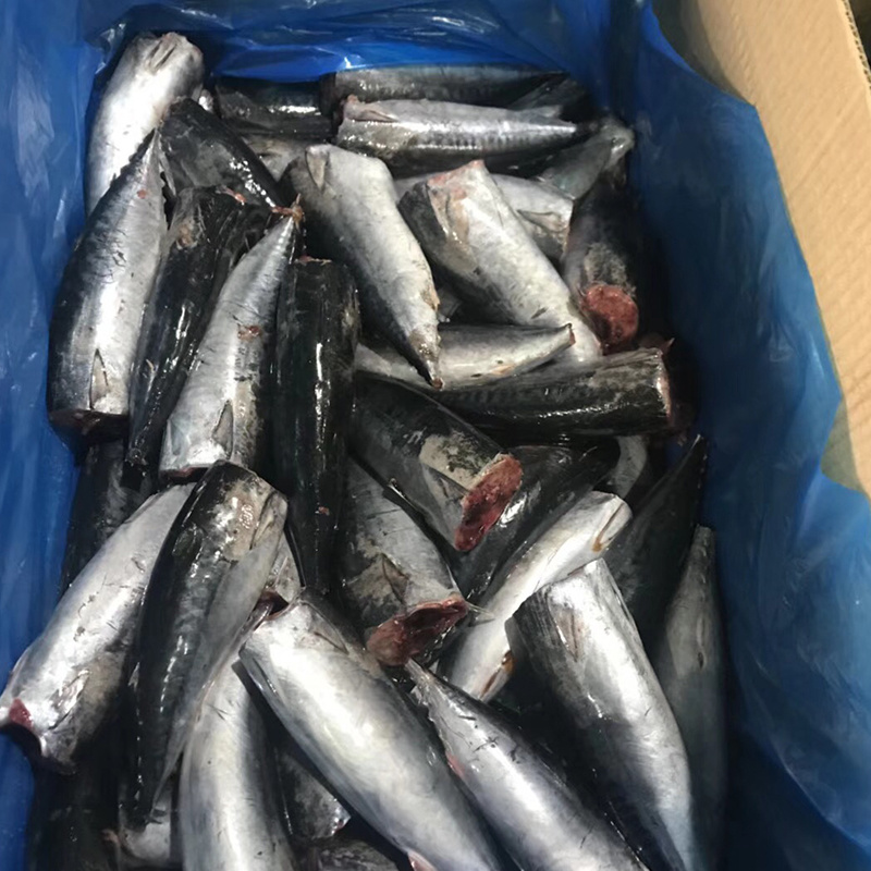 Bonito HGT